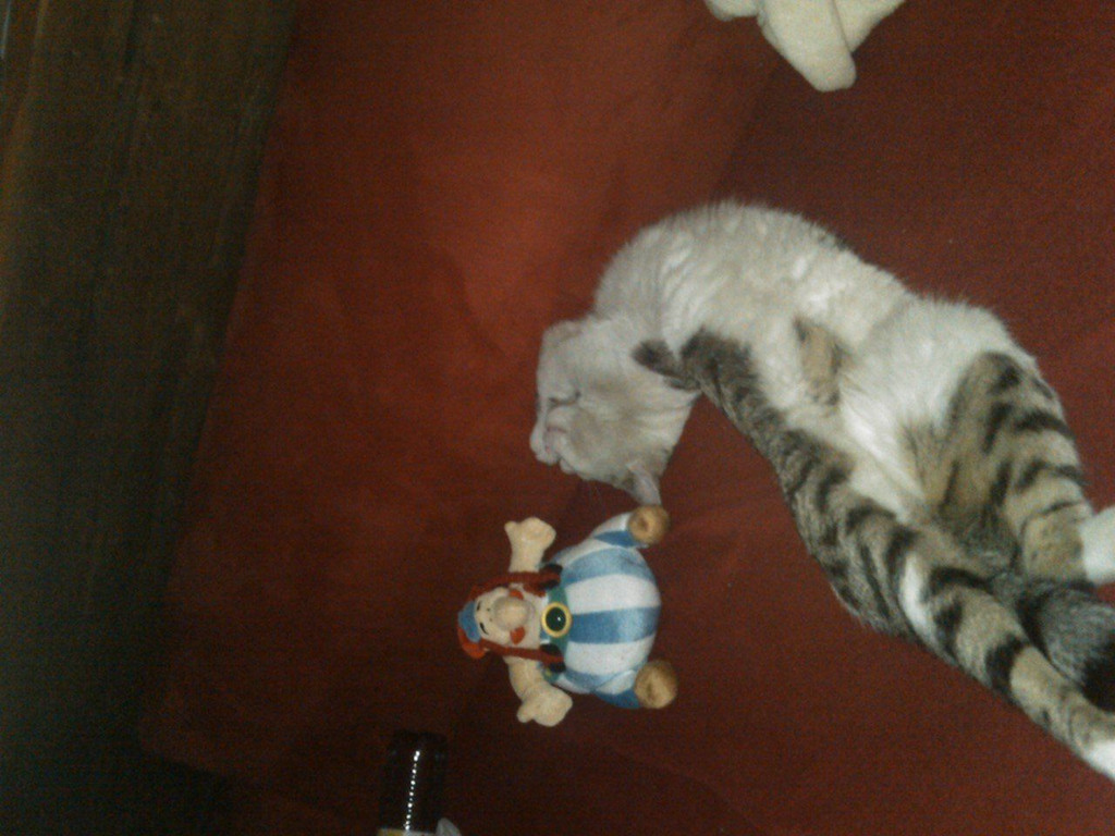 IMG028.jpg