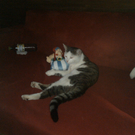 IMG029.jpg