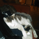 IMG018.jpg