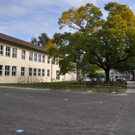 DSC_0035.JPG