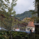 DSC_0052.JPG