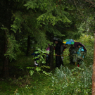 Vorarlberger Landesmeisterschaft und 13. Int. Jagdturnier im Bogenschiessen in Bludenz