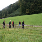 IMG_1217.JPG