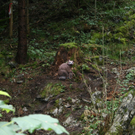 IMG_1239.JPG