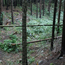 IMG_1241.JPG