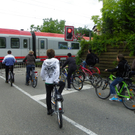 Bild 464.jpg