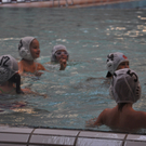 Der Nachwuchs von Pelikan Wasserball