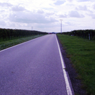 P9160137_JPG-1285652544