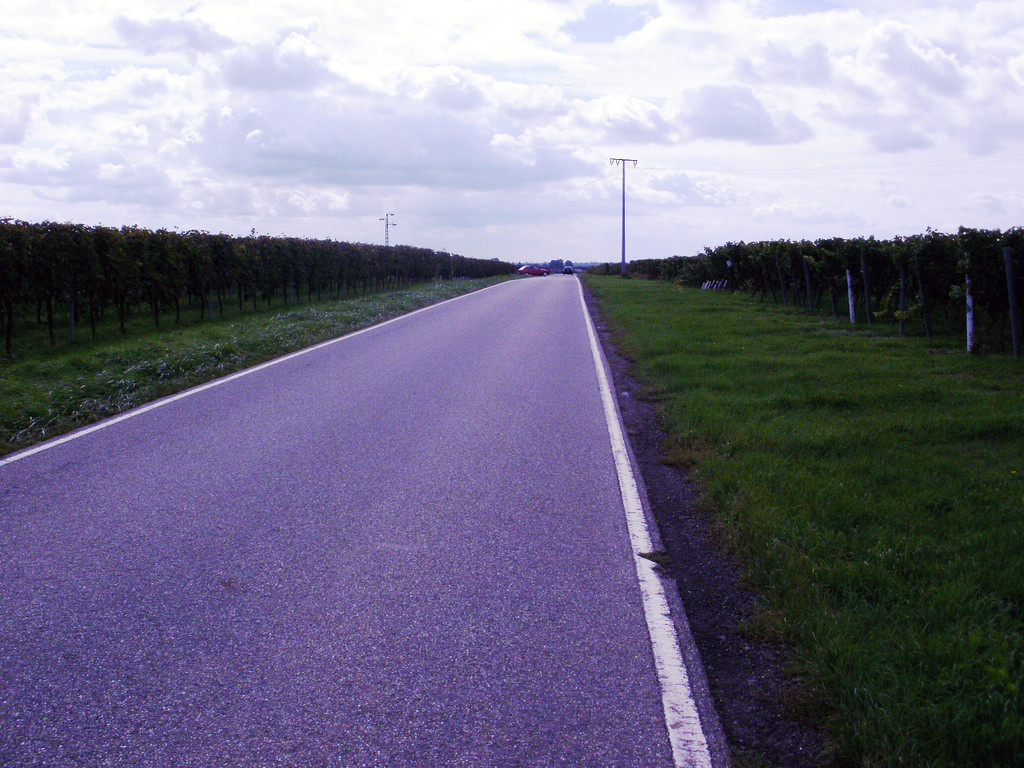 P9160137_JPG-1285652544