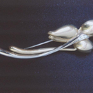 p12809-foto1.JPG