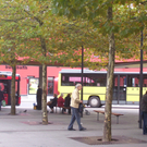 Appell an die Busfahrer