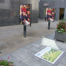SH103616_JPG-1285681934