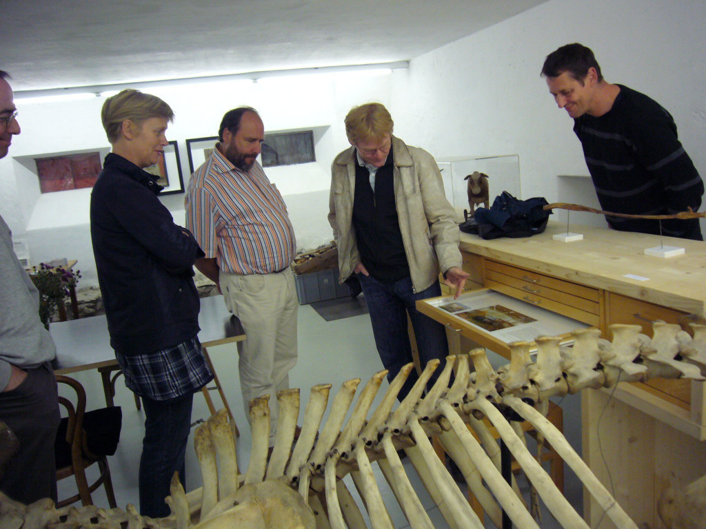 P1100632.JPG
