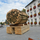 Rekordversuch der größten Buschel der Welt