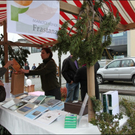HK_Herbstmarkt2009 _13_.jpg