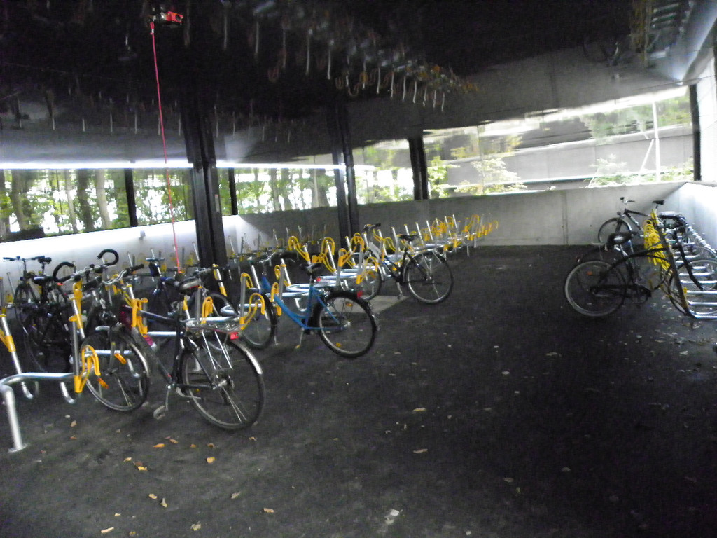 Bild 832_jpg-1285796457