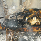 DSCN1831.JPG