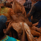 dc1-5wet27c3d5w154q022co_original.jpg