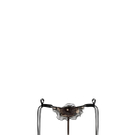 valisere_tabu_fleur_d-illusion_fr_str_01_aw10.jpg