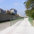P1010098.JPG