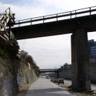 P1010108.JPG