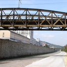 P1010110.JPG