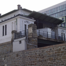 P1010118.JPG
