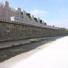 P1010127.JPG
