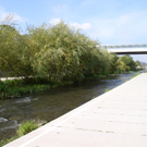 P1010144.JPG