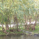 P1010146.JPG