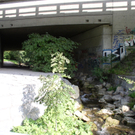 P1010155.JPG
