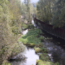 P1010184.JPG