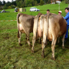 P1070629_jpg-1285948282