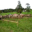 P1070643_jpg-1285948317