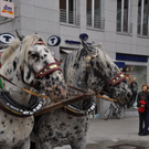 DSC_0198.JPG