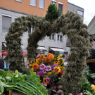 DSC_0201.JPG