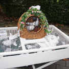 DSC00839.JPG
