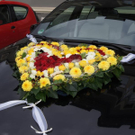 DSC00877.JPG