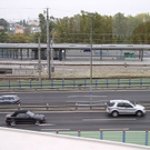 webP1010136.jpg