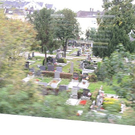 webP1010138.jpg