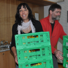 Obst04.jpg