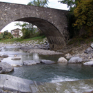 PA020008_JPG-1286053833