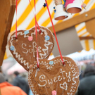 IMG_3980_Gr____enver__nderung.jpg