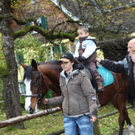 IMG_3992_Gr____enver__nderung.jpg