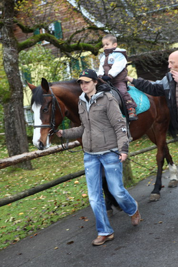 IMG_3992_Gr____enver__nderung.jpg