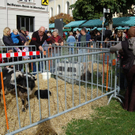 Buratag in Schruns