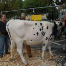 DSC_0028.JPG