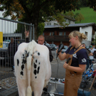 DSC_0033.JPG