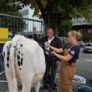 DSC_0036.JPG
