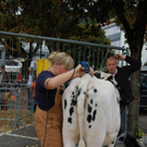DSC_0041.JPG